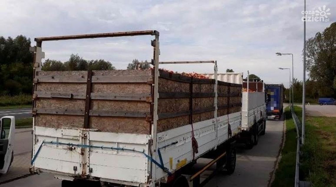 Wiózł o 9 ton jabłek za dużo