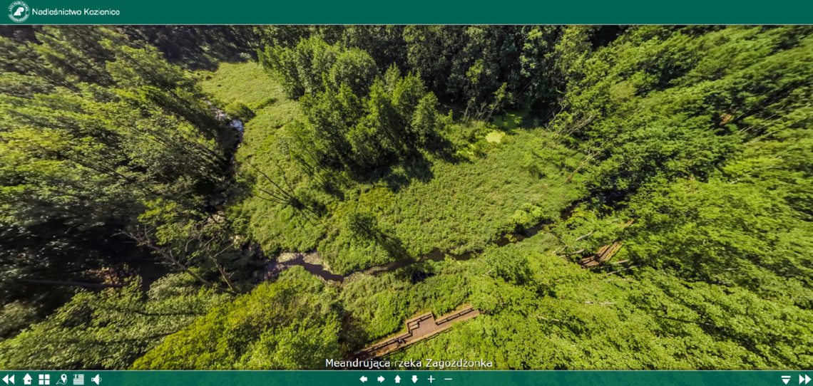 Wirtualny spacer po lesie