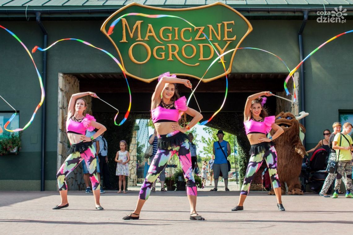 Witaj w świecie magii! Witaj w świecie magii!