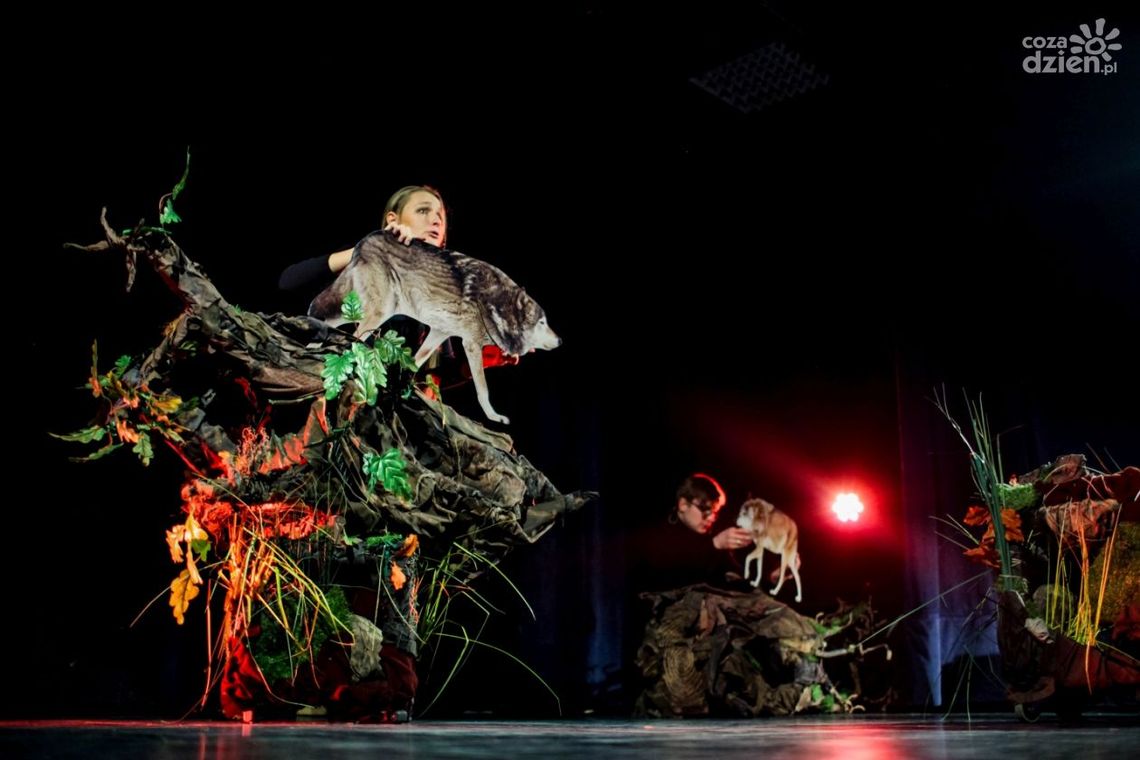 Wkręć się w teatr: Wilczek Milczek (zdjęcia)