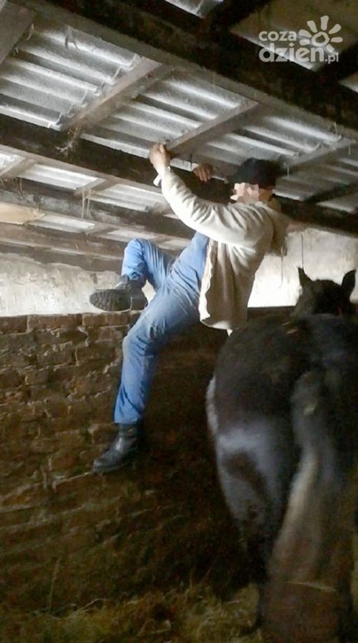 Włamanie do sąsiada i gryzący koń