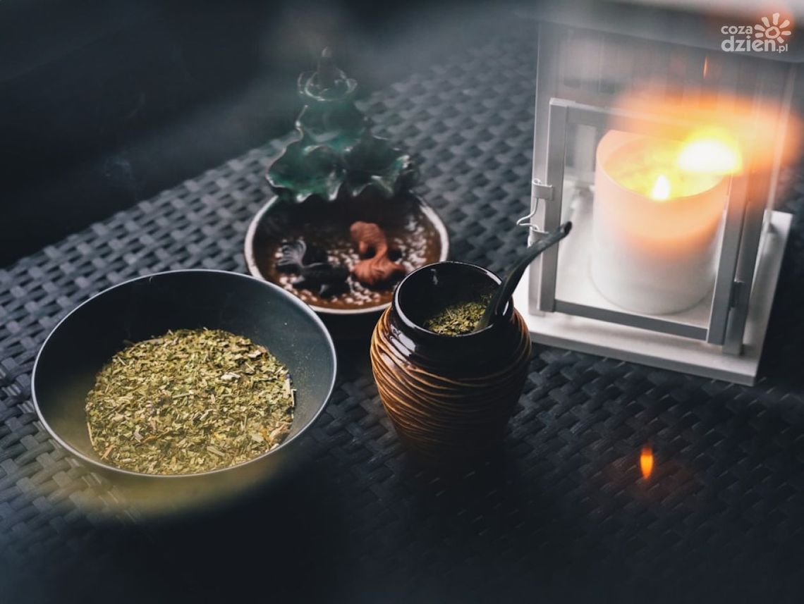 Właściwości yerba mate