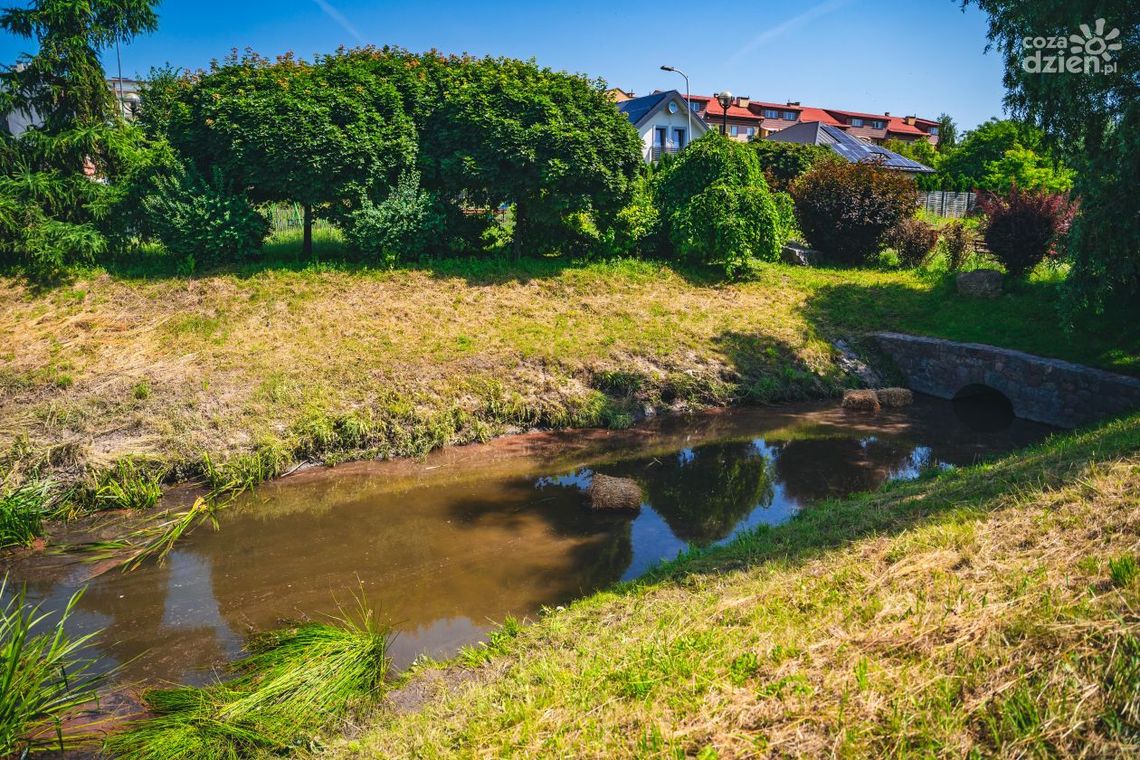 Wodociągi Miejskie interweniują ws. skażonej wody 