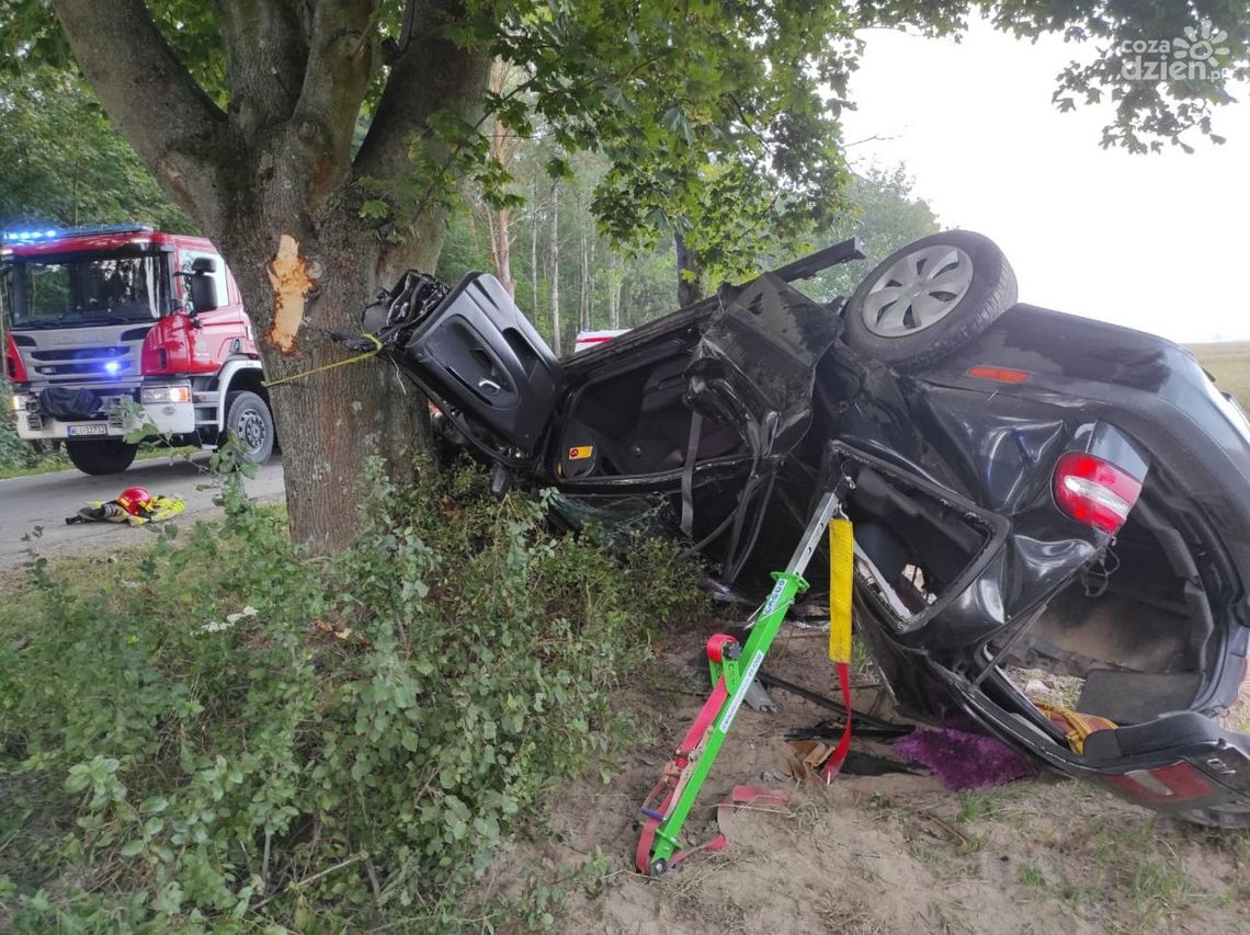 Wola Solecka. Kierowca wjechał w drzewo Wola Solecka. Kierowca wjechał w drzewo