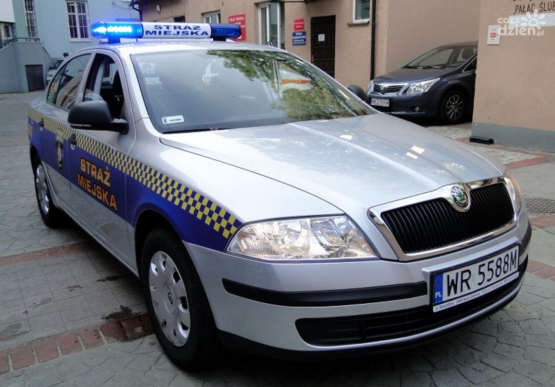 Wpadli kolekcjonerzy znaczków samochodowych