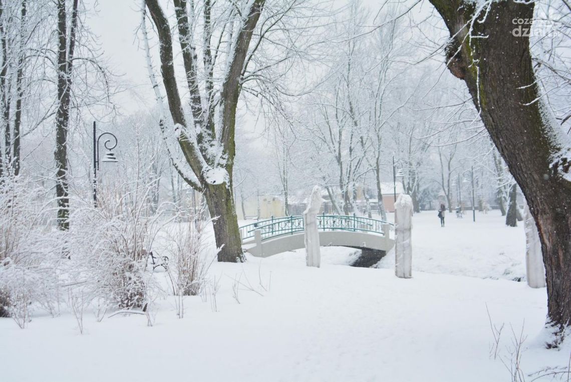 Wracają duże mrozy