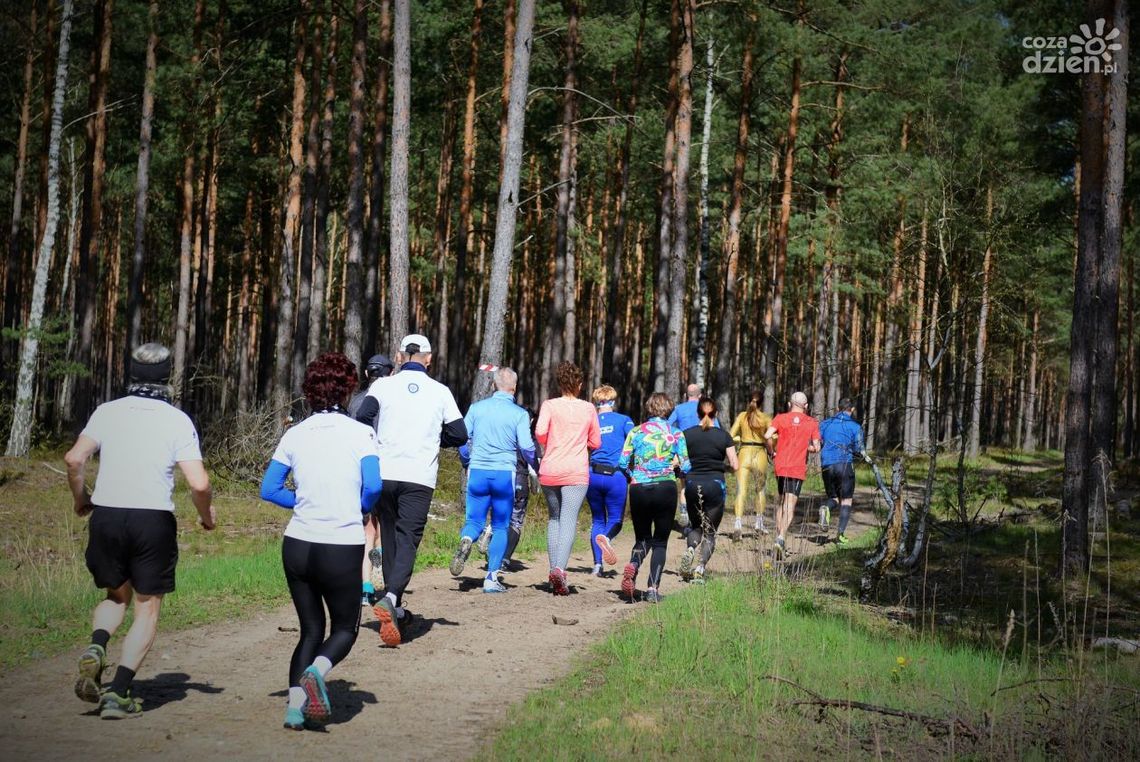 Wracają treningi akcji "Biegam bo lubię lasy"