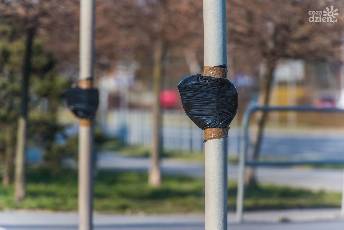 Wracają włączniki na słupkach sygnalizacji świetlnej