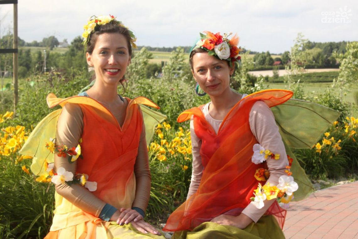 Wróżki Smużki potrzebują Twojej pomocy!