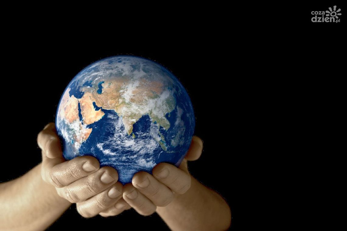 Współpraca międzynarodowa Współpraca międzynarodowa