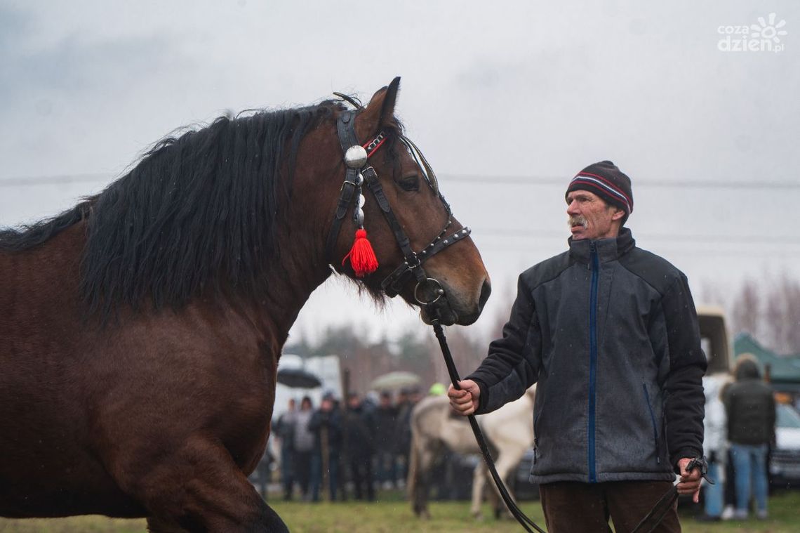 Wstępy 2024. Zobaczcie wideo i zdjęcia