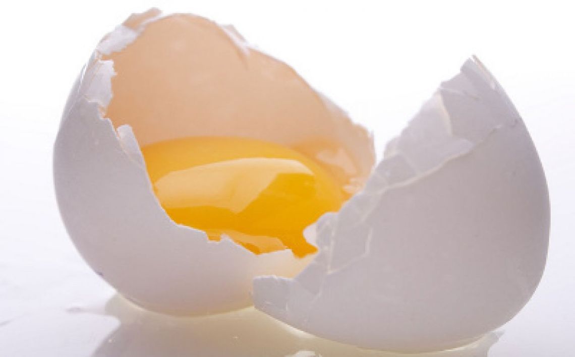 Wszystko, co musisz wiedzieć o jajkach!