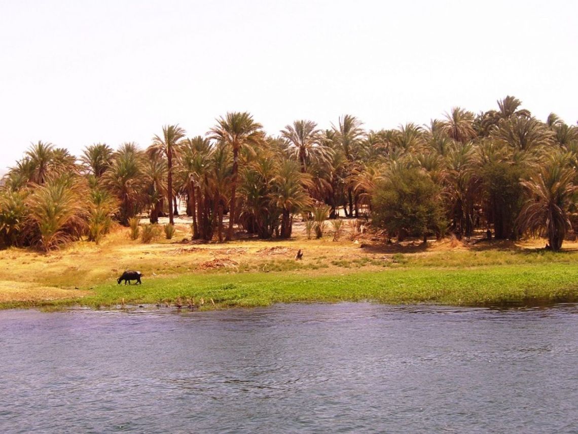 Wybierz się na wyjątkowy rejs po Nilu