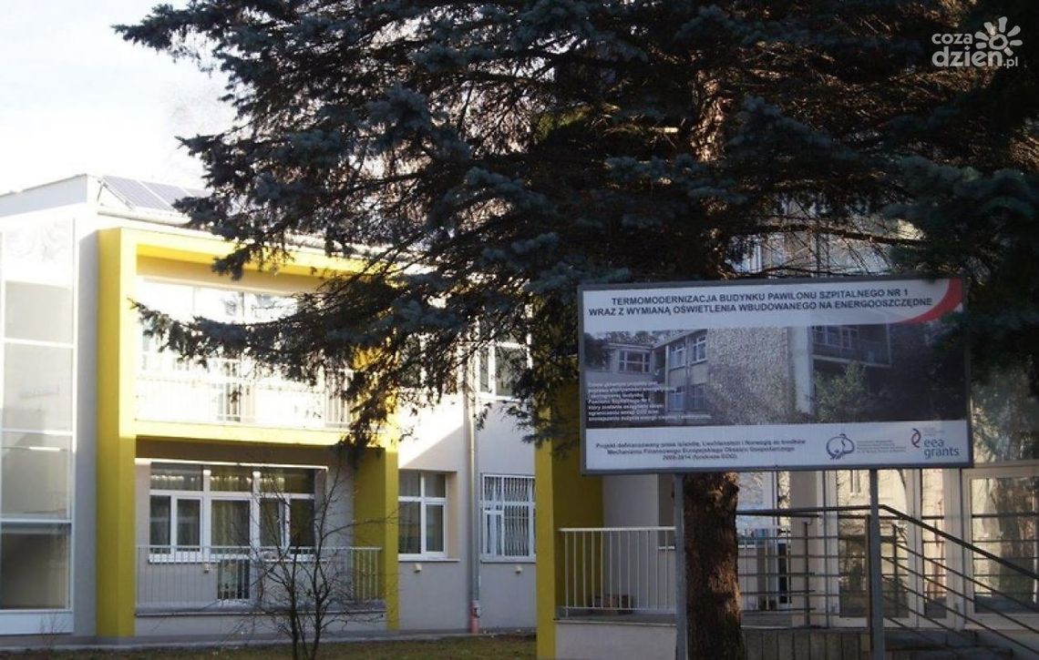 Wycinka w Krychnowicach. Postępowanie umorzone