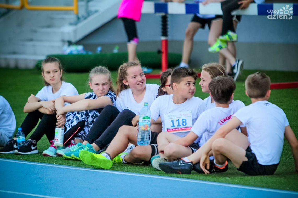 Wykaz bezpłatnych zajęć w czasie strajku