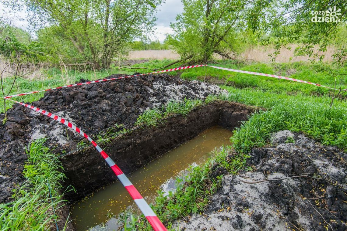 Wykopy archeologiczne przy Mlecznej zakończone
