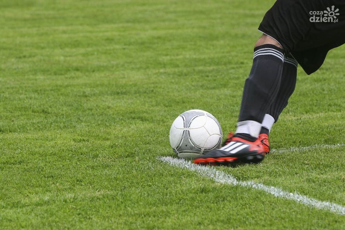 Wykształcenie, kariera i zarobki sędziów piłkarskich