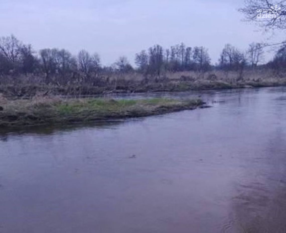 Wyniki sekcji zwłok ciała wyłowionego z Pilicy Wyniki sekcji zwłok ciała wyłowionego z Pilicy