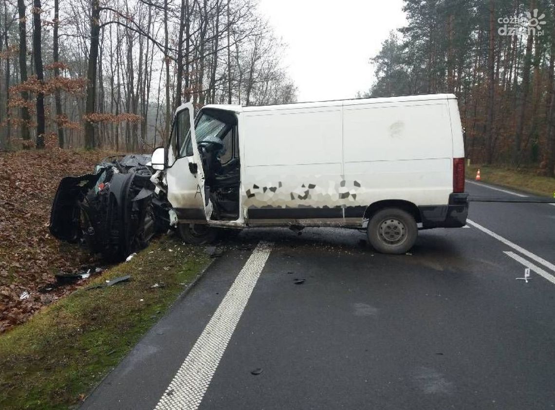 Wypadek na DK 79. Jedna osoba ranna Wypadek na DK 79. Jedna osoba ranna