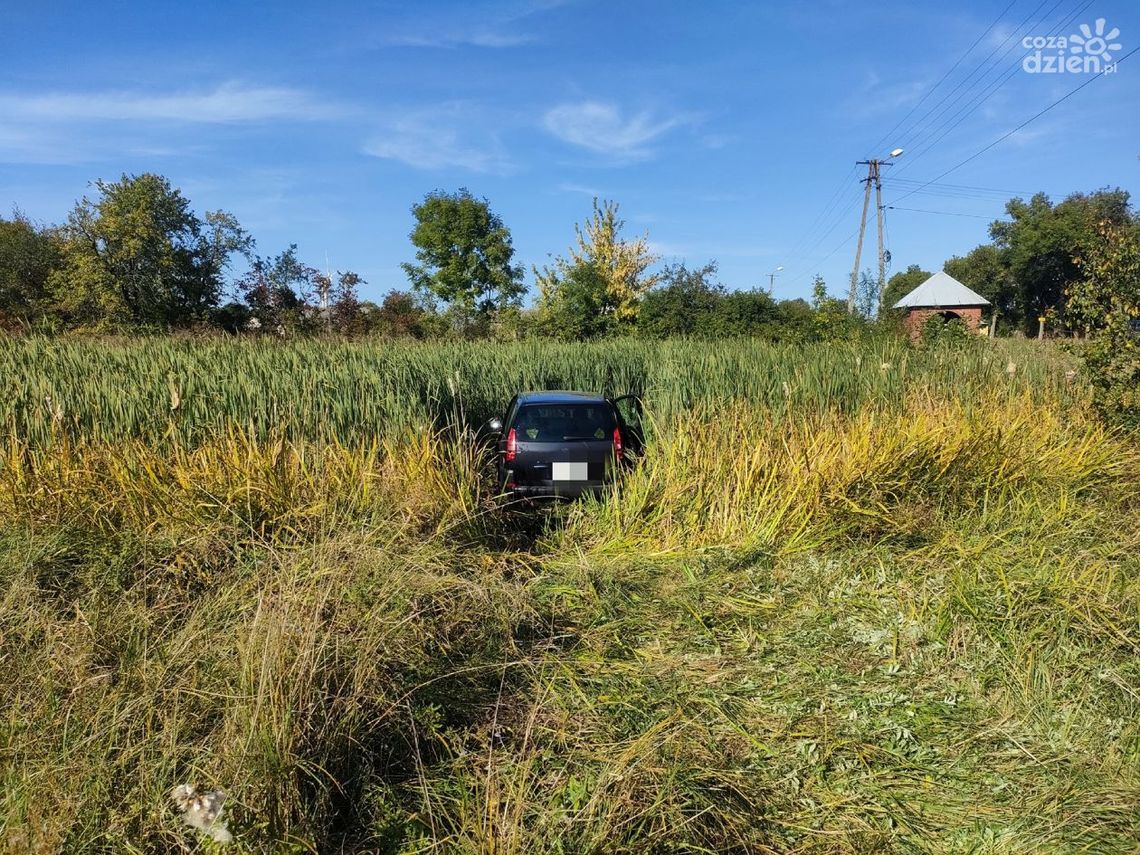 Wypadek w Dobrucie. Auto wpadło do sadzawki