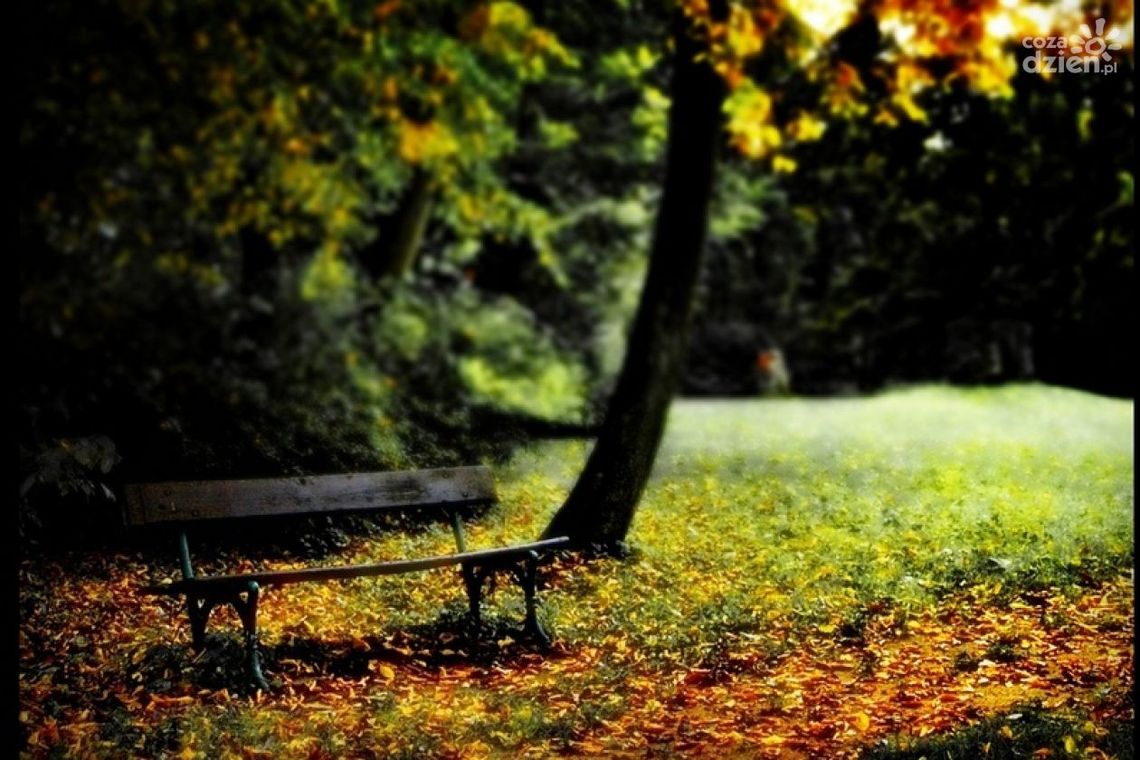 Wyprawa do Orońska Wyprawa do Orońska