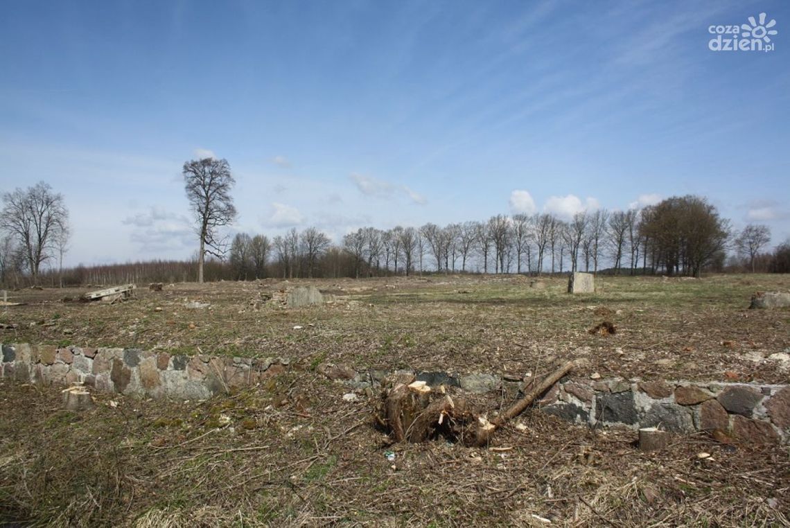 Wyrąbany  zabytkowy park w Młodocinie Większym