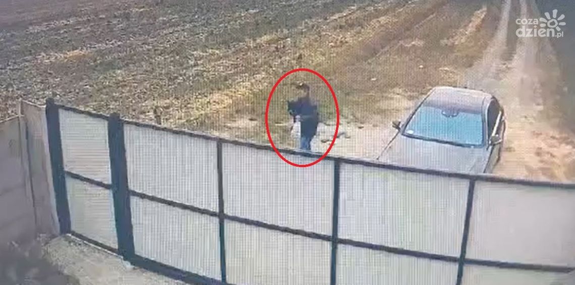 Wyrzucił psa przez bramę. "Znudziła mi się" Wyrzucił psa przez bramę. "Znudziła mi się"