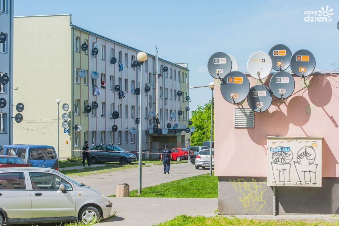 Wyrzucił psa przez okno. Areszt i zarzuty dla 68-latka