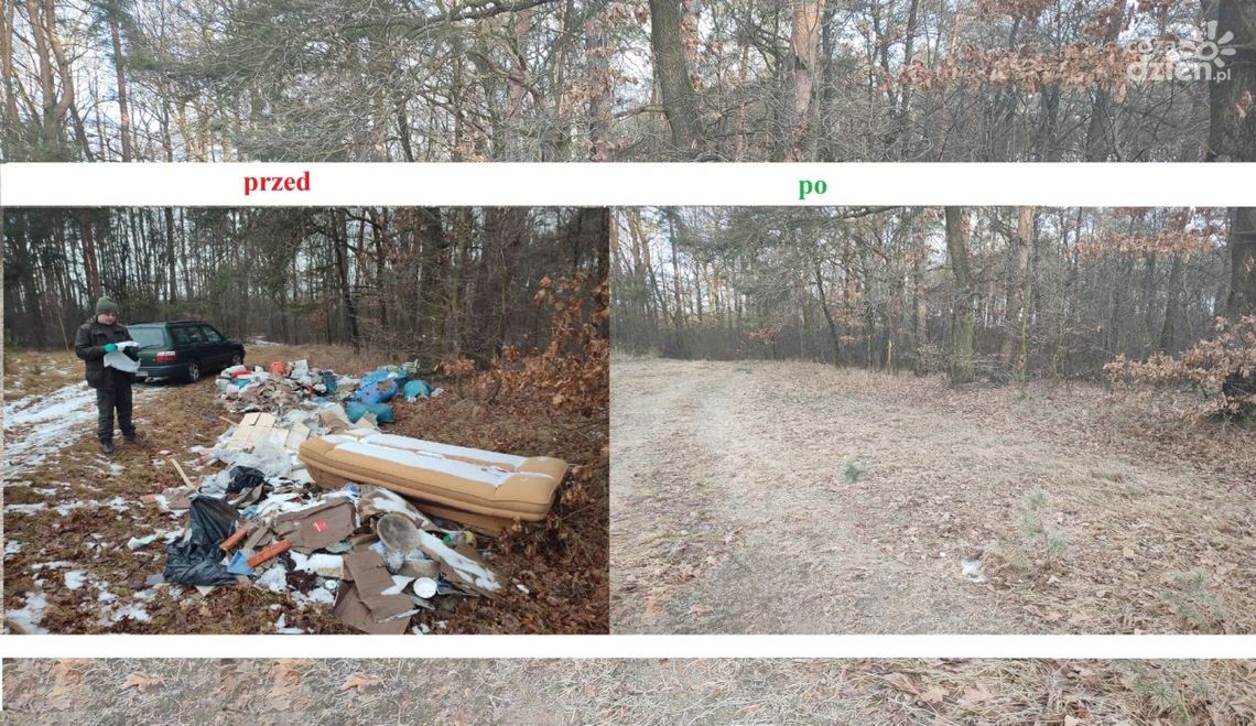 Wyrzucił śmieci do lasu, posprzątał na własny koszt