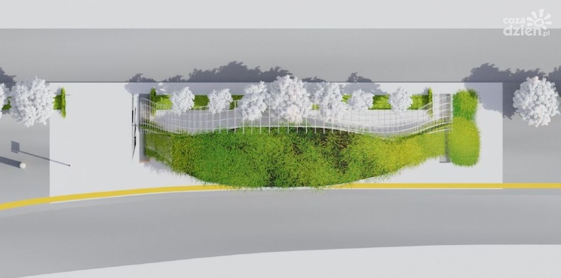 Wyspa ciepła. Petycja u prezydenta Wyspa ciepła. Petycja u prezydenta