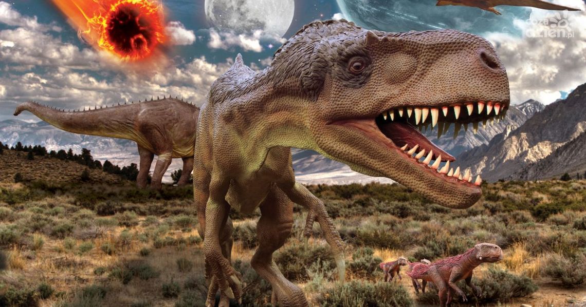 Wystawa dinozaurów w Galerii Słonecznej Wystawa dinozaurów w Galerii Słonecznej