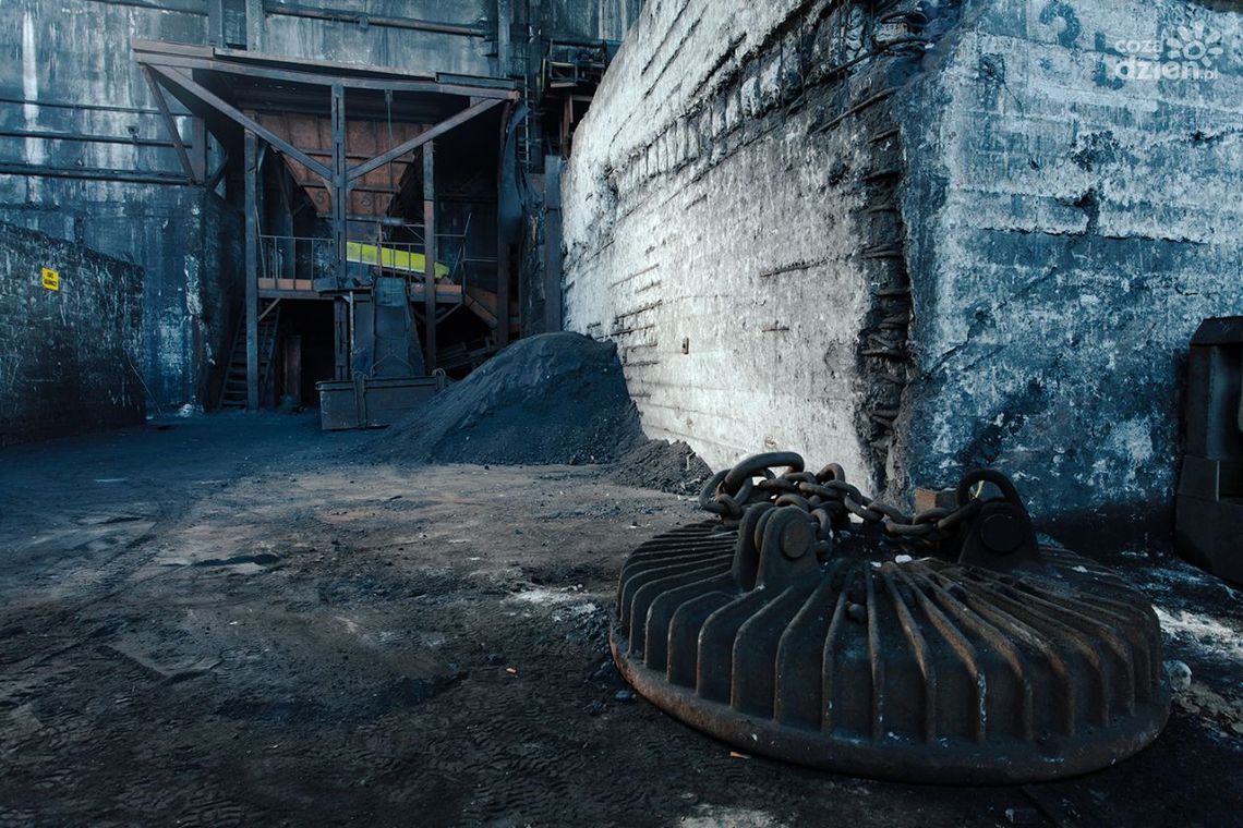 Wystawa fotografii Tomasza Grzyba