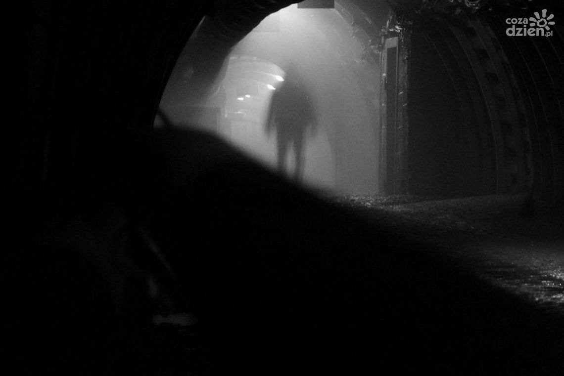 Wystawa "Malowane promieniowaniem gamma" w Miejskiej Bibliotece Publicznej