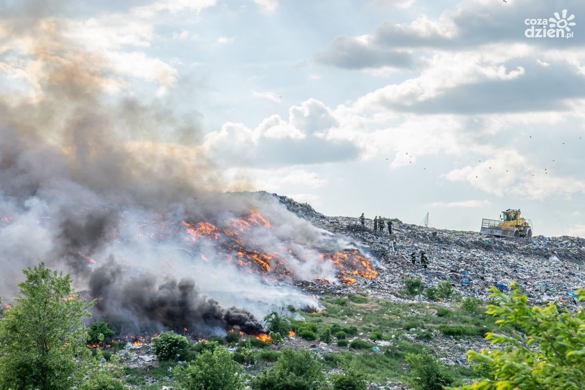 Wysypisko na Wincentowie. Jest śledztwo