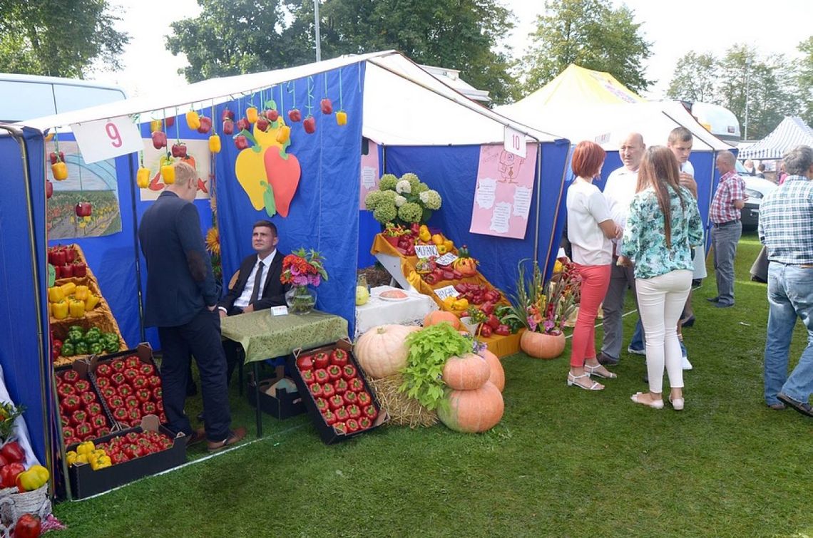 XV Ogólnopolskie Targi Papryki w Przytyku