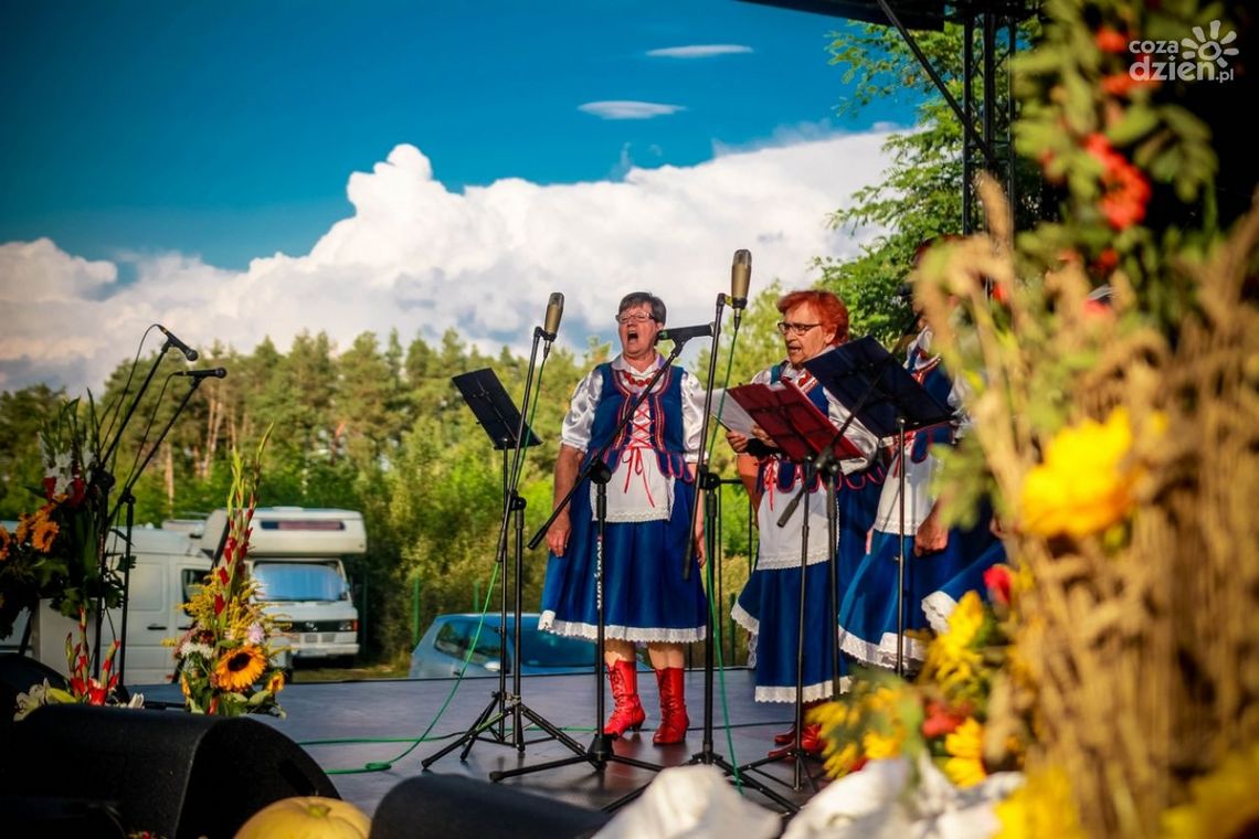 XVI Szydłowieckie Dożynki w Zdziechowie (zdjęcia)
