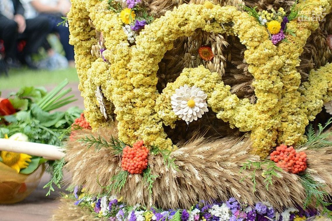 XX Dożynki Gminy Kozienice w Ryczywole