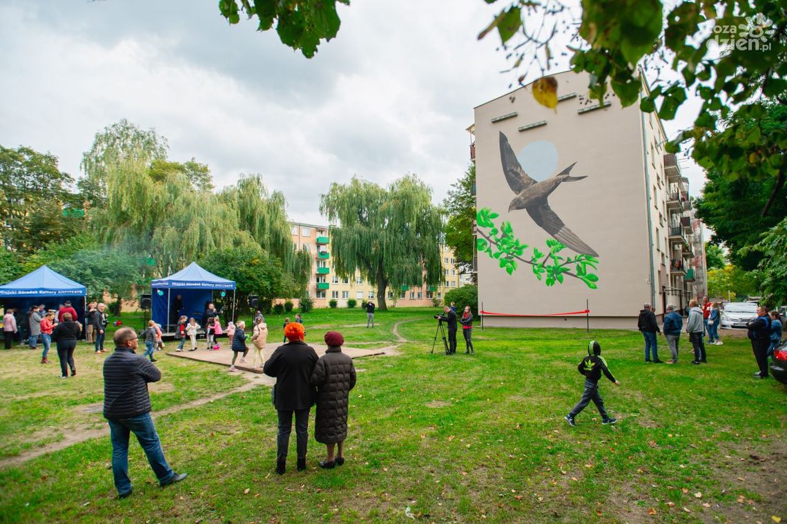 Z jerzykami po sąsiedzku