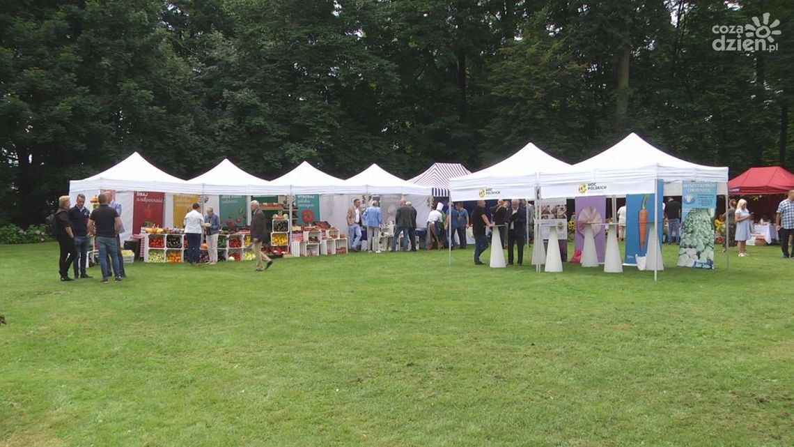 Za nami 2. edycja kampanii "Moc Polskich Warzyw” Za nami 2. edycja kampanii "Moc Polskich Warzyw”