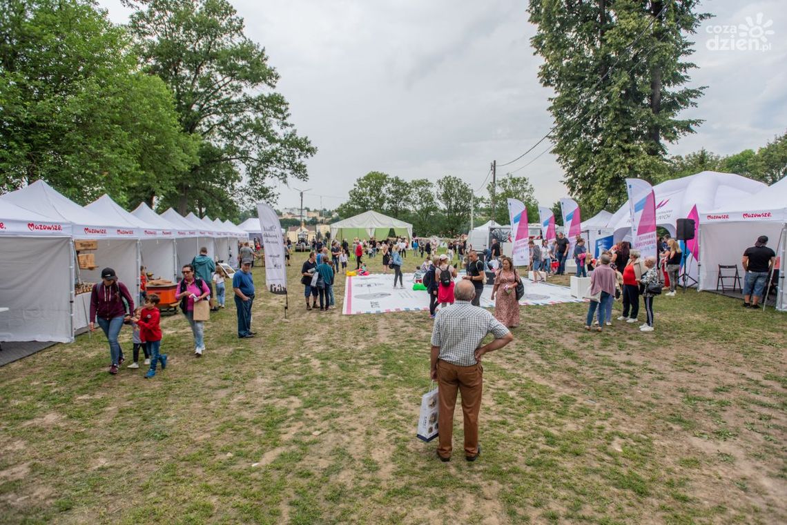Za nami MAZOpiknik w Iłży