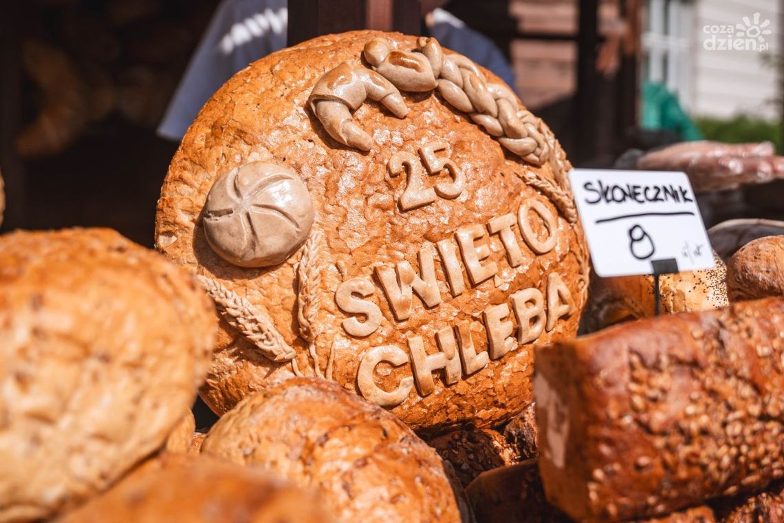 Za nami XXV Radomskie Święto Chleba Za nami XXV Radomskie Święto Chleba