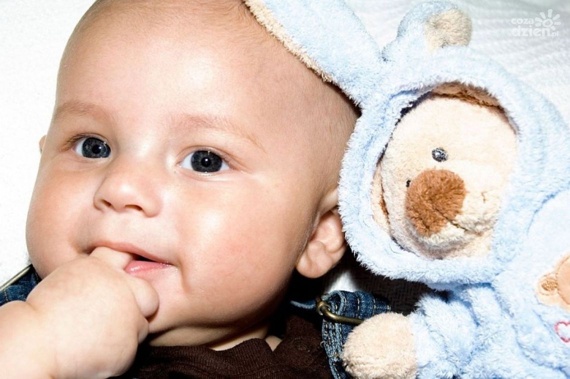 Zabawy edukacyjne z maluchem