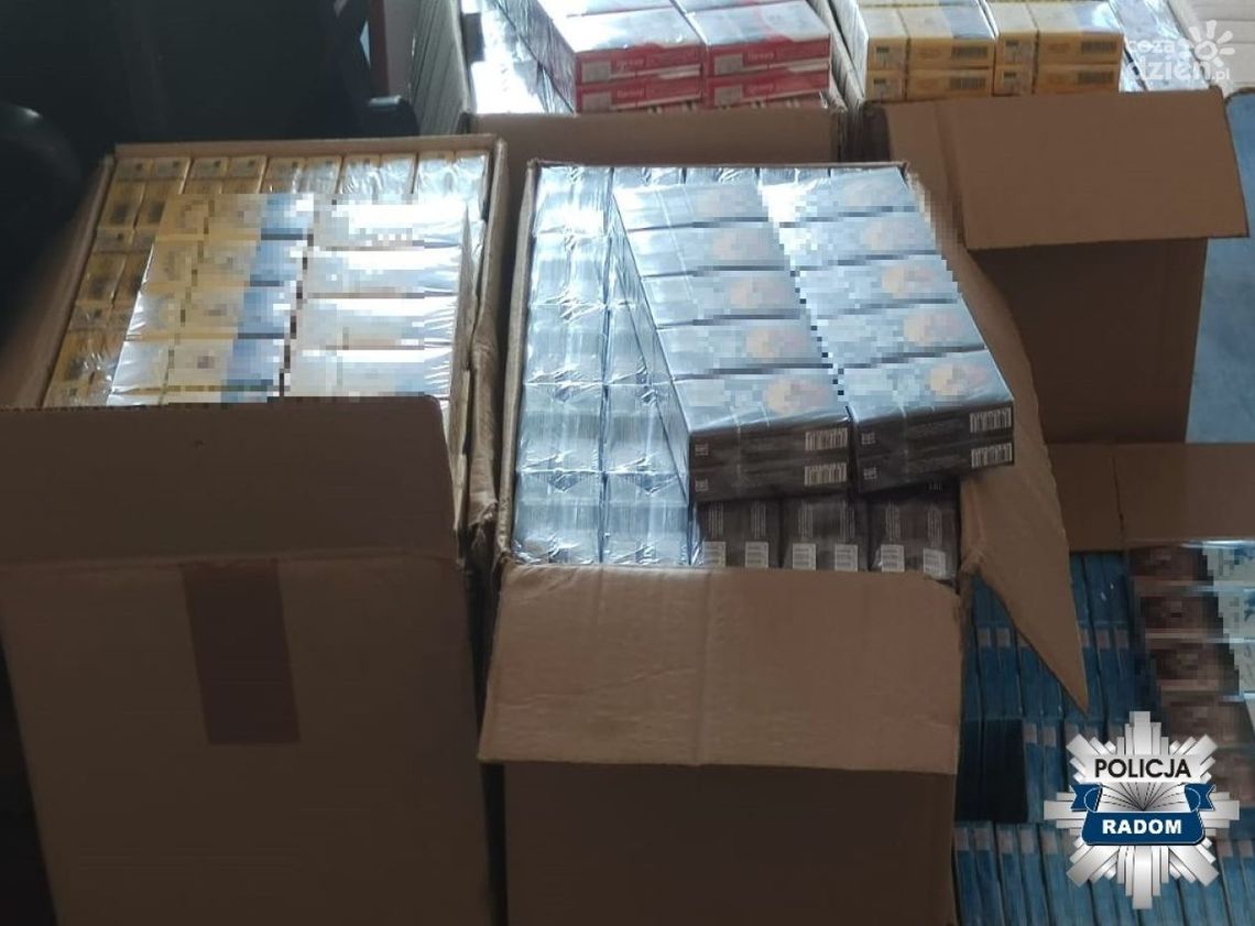 Zabezpieczyli 3 tys. paczek papierosów bez polskich znaków akcyzy 
