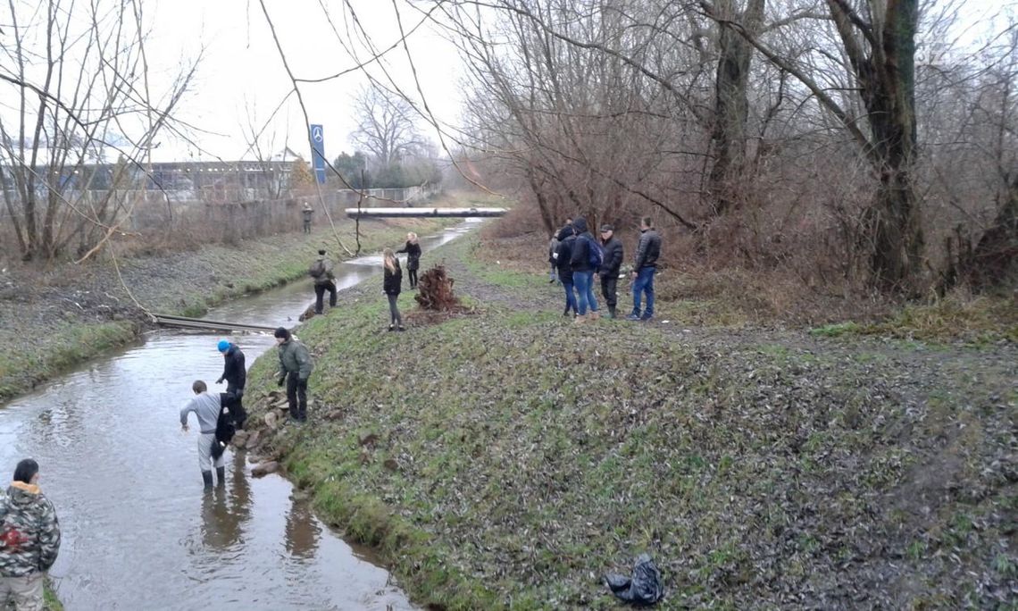Zaginiona Danuta Wielocha. Poszukiwania [Aktualizacja]
