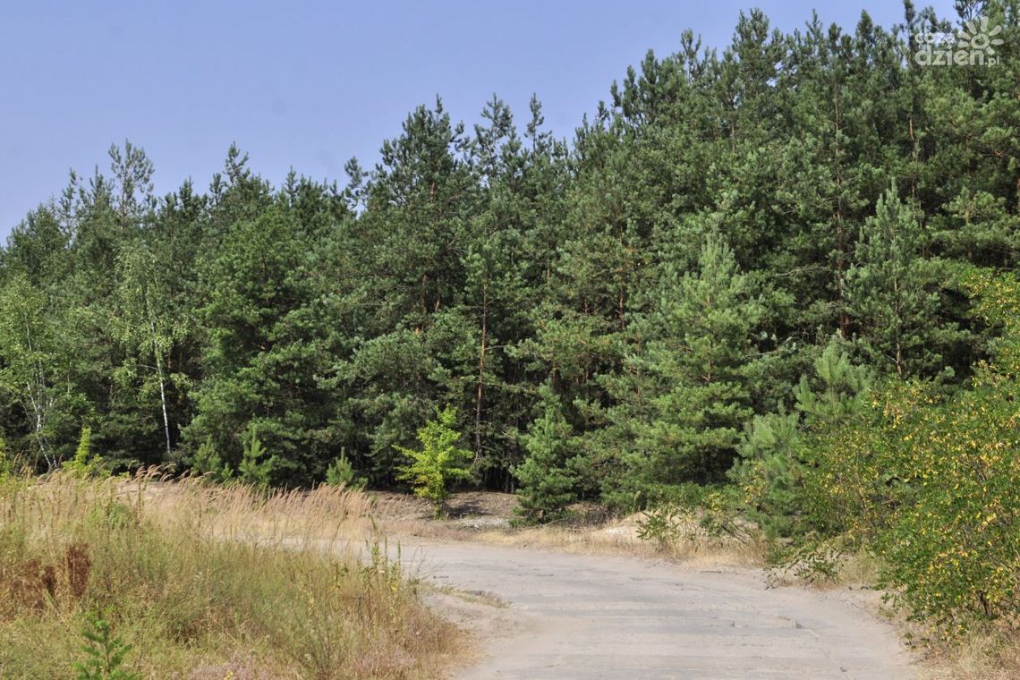 Zagrożenie pożarowe w radomskich lasach utrzymuje się