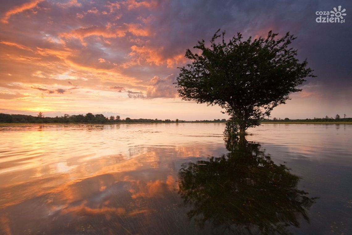 Zagrożona Dolina Pilicy - zobacz galerię zdjęć