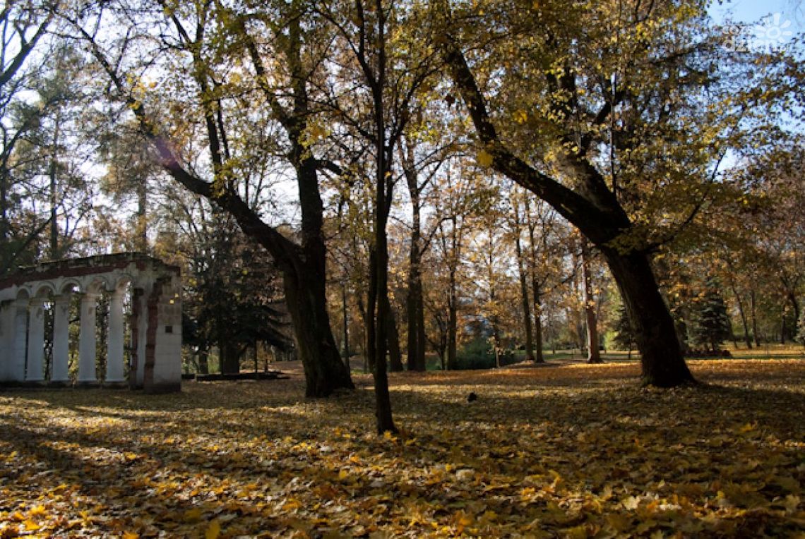 Zakaz używania dmuchaw do liści 