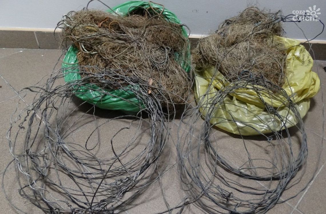 Zakładał wnyki i sieci na zwierzęta. Zatrzymali go