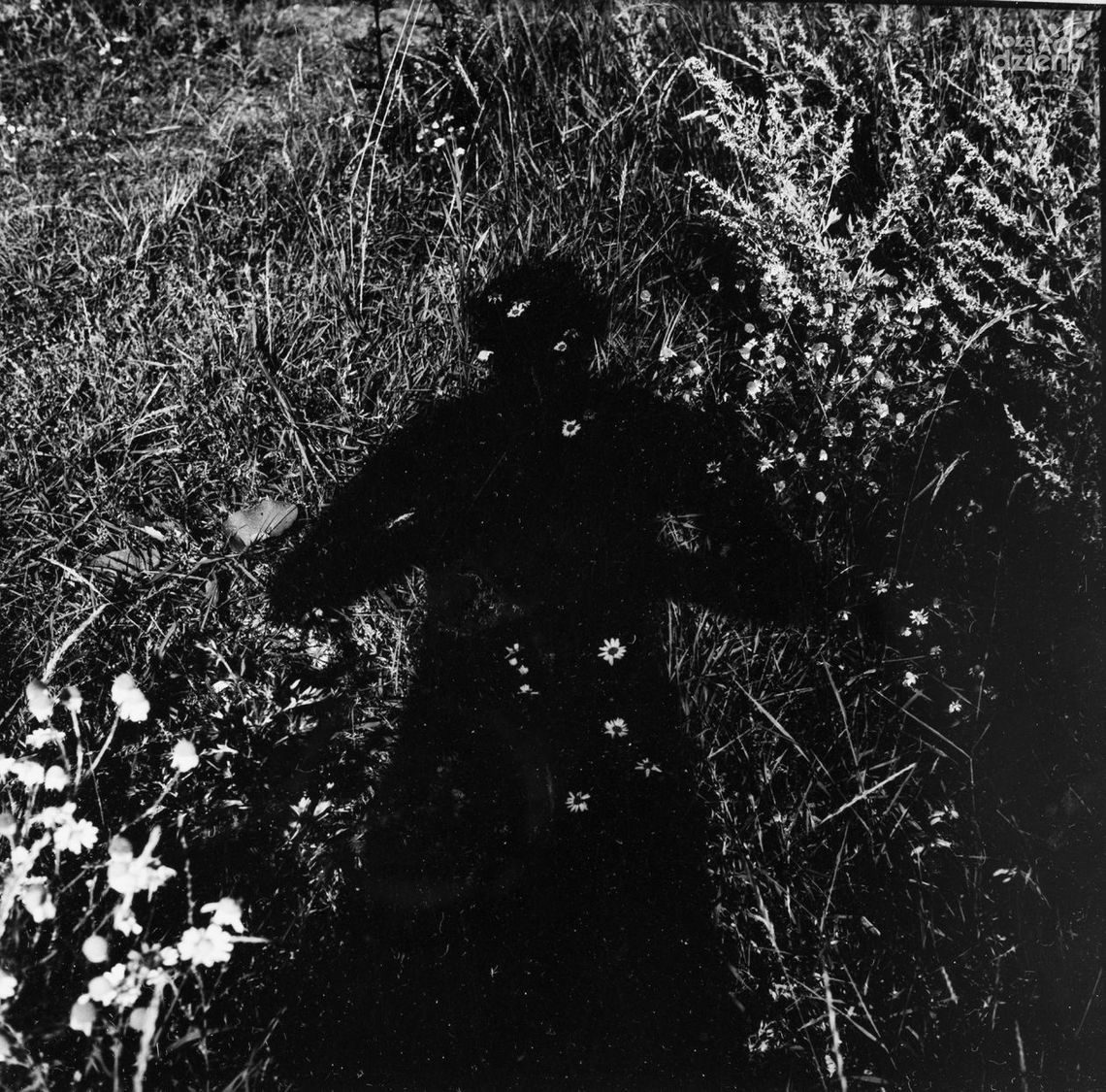 Zakupy dzieł sztuki do kolekcji Elektrowni