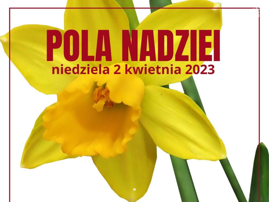 Zakwitną Pola Nadziei